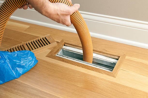Air Duct Mold Removal in Wolfdale, PA